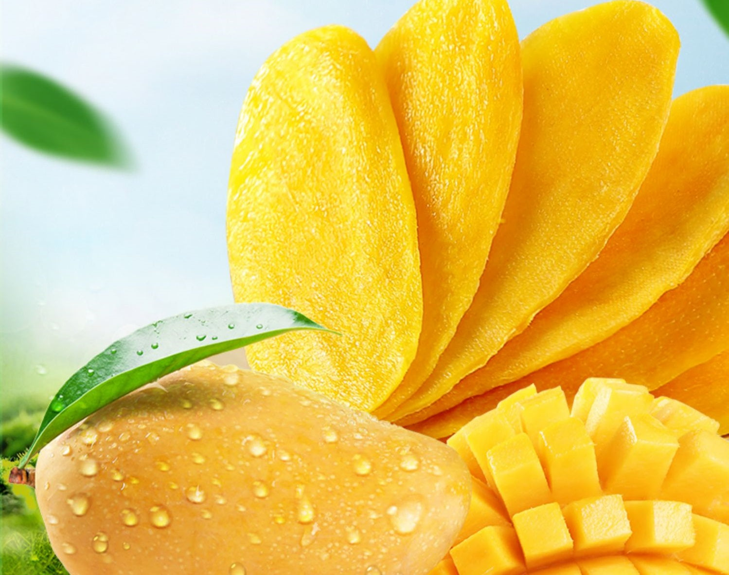 말린 망고(Dried mango)3*60g