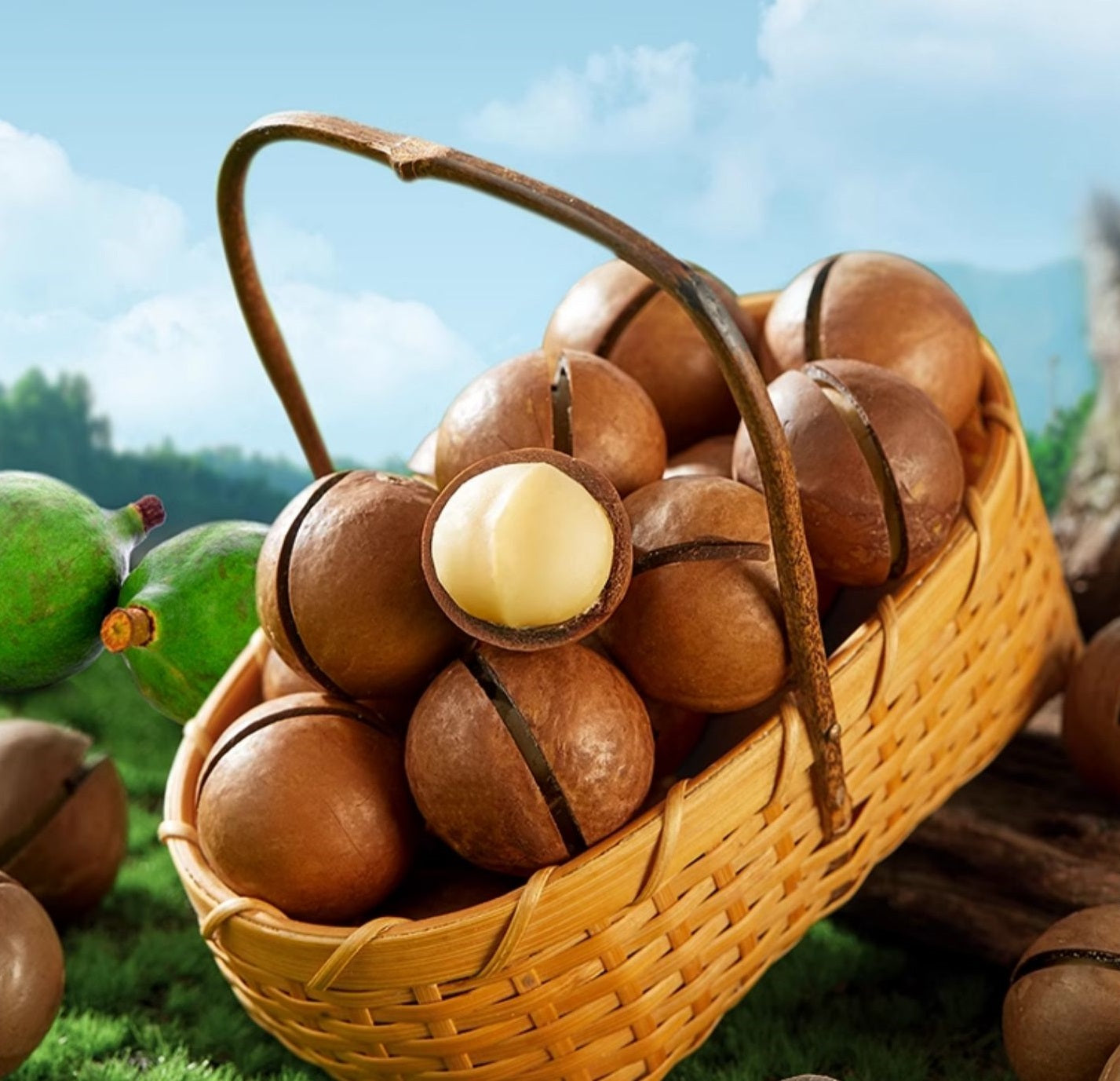 마카다미아(Macadamia nuts)2*500g