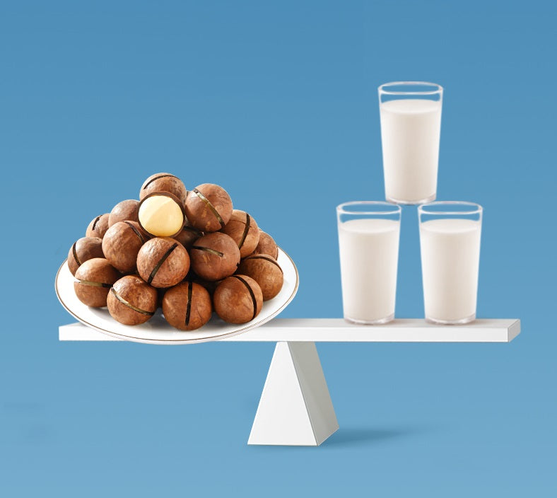 마카다미아(Macadamia nuts)2*500g