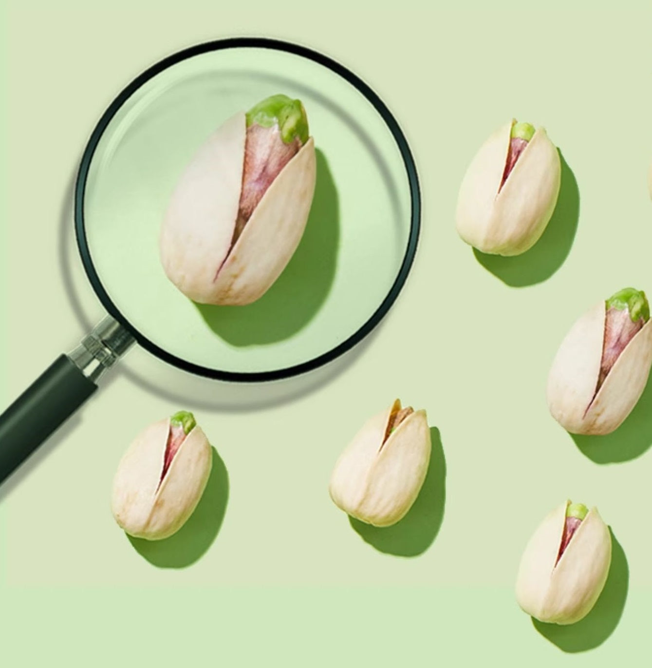 피스타치오(pistachio)1*500g