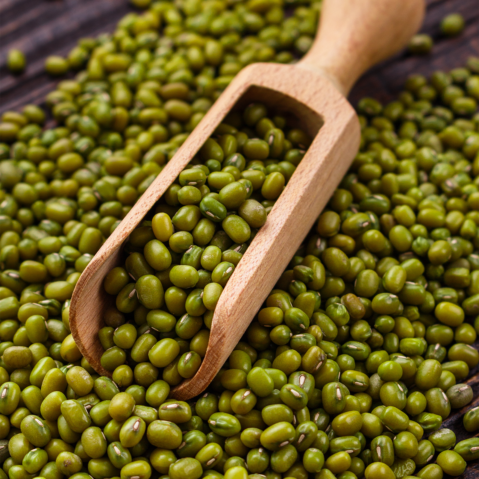 Antshoping 수입산 소립 녹두 1kg*5개 (5kg) | 여름철 식재료 | 빠른 삶기